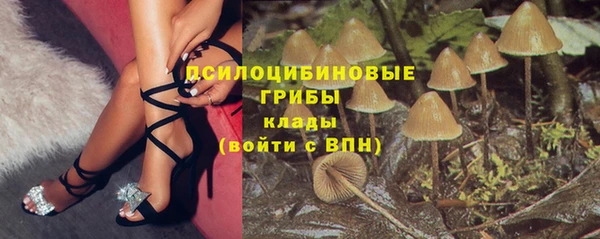 мдпв Касимов