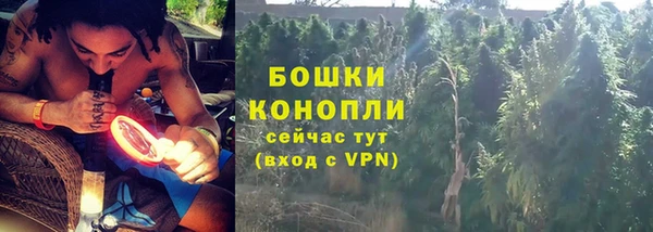 мдпв Касимов