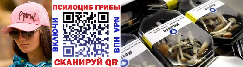 Галлюциногенные грибы Psilocybe  Купить где  Большой Камень 